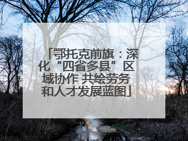 鄂托克前旗：深化“四省多县”区域协作 共绘劳务和人才发展蓝图
