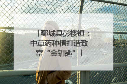 鄄城县彭楼镇：中草药种植打造致富“金钥匙”