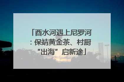 酉水河遇上尼罗河：保靖黄金茶、村厨“出海”启新途