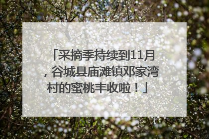 采摘季持续到11月，谷城县庙滩镇邓家湾村的蜜桃丰收啦！