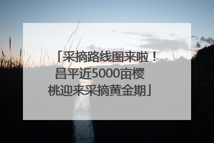 采摘路线图来啦！昌平近5000亩樱桃迎来采摘黄金期