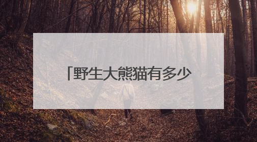野生大熊猫有多少？种群如何分布？科研团队实地探秘