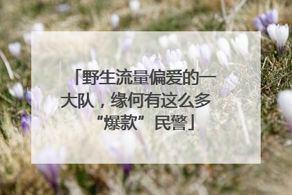 野生流量偏爱的一大队，缘何有这么多“爆款”民警