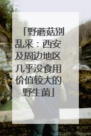 野蘑菇别乱采：西安及周边地区几乎没食用价值较大的野生菌