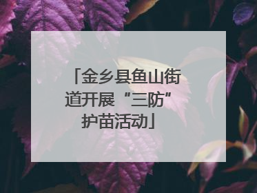 金乡县鱼山街道开展“三防”护苗活动
