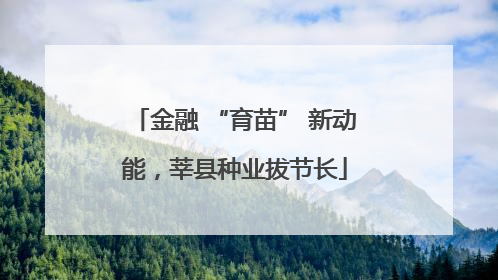 金融 “育苗” 新动能，莘县种业拔节长