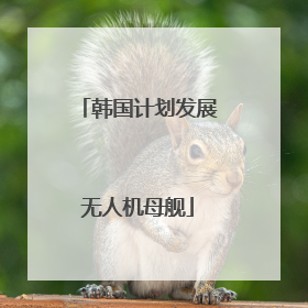 韩国计划发展无人机母舰