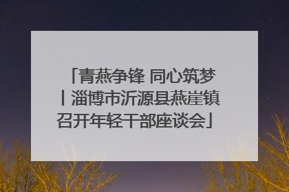 青燕争锋 同心筑梦丨淄博市沂源县燕崖镇召开年轻干部座谈会