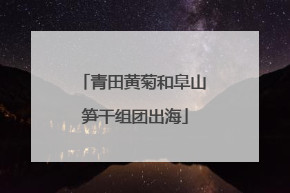 青田黄菊和阜山笋干组团出海