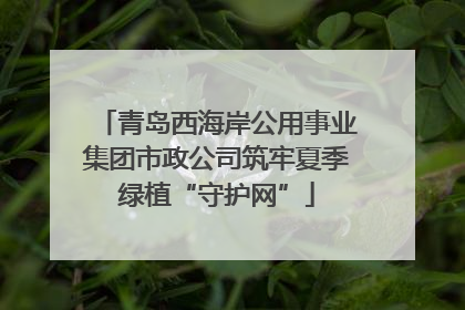 青岛西海岸公用事业集团市政公司筑牢夏季绿植“守护网”