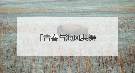 青春与海风共舞！“乘滴滴游烟台”开启大学生浪漫读城之旅