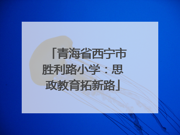 青海省西宁市胜利路小学：思政教育拓新路