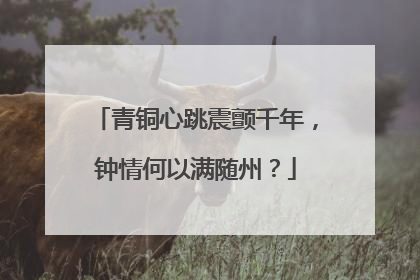 青铜心跳震颤千年，钟情何以满随州？