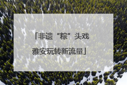 非遗“粽”头戏 雅安玩转新流量