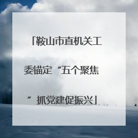 鞍山市直机关工委锚定“五个聚焦”抓党建促振兴