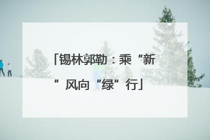 锡林郭勒：乘“新”风向“绿”行
