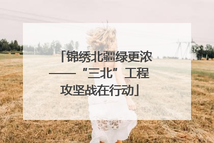 锦绣北疆绿更浓——“三北”工程攻坚战在行动