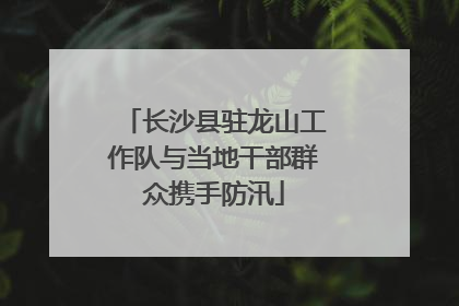 长沙县驻龙山工作队与当地干部群众携手防汛