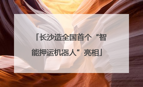 长沙造全国首个“智能押运机器人”亮相