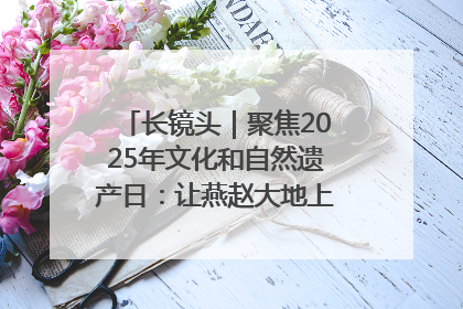 长镜头｜聚焦2025年文化和自然遗产日：让燕赵大地上的文物绽放新光彩