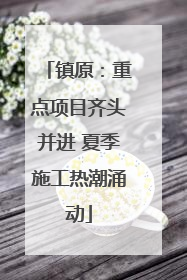 镇原：重点项目齐头并进 夏季施工热潮涌动