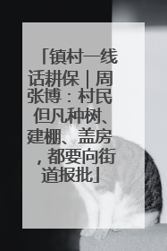 镇村一线话耕保｜周张博：村民但凡种树、建棚、盖房，都要向街道报批
