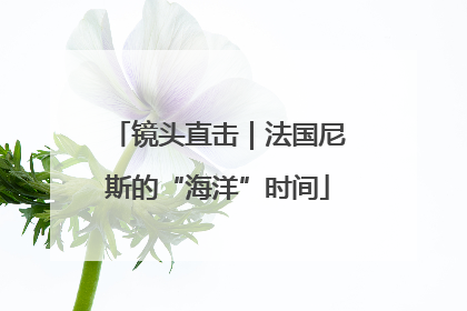 镜头直击｜法国尼斯的“海洋”时间