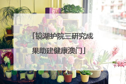镜湖护院三研究成果助建健康澳门