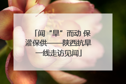 闻“旱”而动 保灌保供——陕西抗旱一线走访见闻