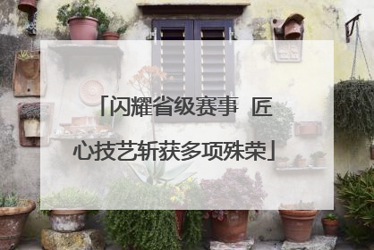 闪耀省级赛事  匠心技艺斩获多项殊荣