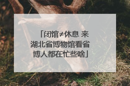 闭馆≠休息 来湖北省博物馆看省博人都在忙些啥
