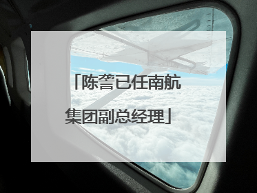 陈詟已任南航集团副总经理