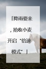 降雨要来，抢收小麦开启“倍速模式”
