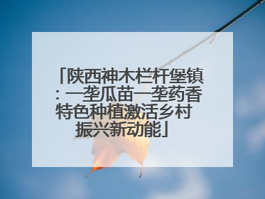 陕西神木栏杆堡镇：一垄瓜苗一垄药香 特色种植激活乡村振兴新动能