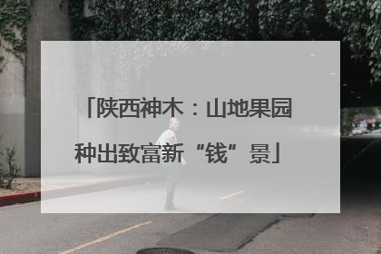 陕西神木：山地果园种出致富新“钱”景
