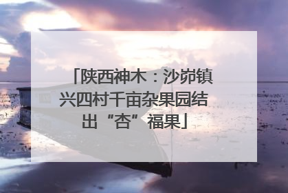 陕西神木：沙峁镇兴四村千亩杂果园结出“杏”福果