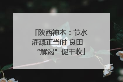陕西神木：节水灌溉正当时 良田“解渴”促丰收