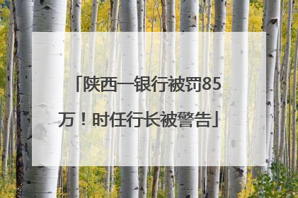 陕西一银行被罚85万！时任行长被警告