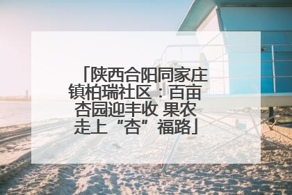 陕西合阳同家庄镇柏瑞社区：百亩杏园迎丰收 果农走上“杏”福路