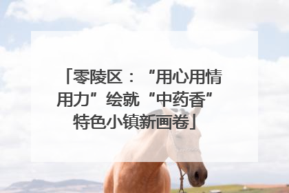 零陵区：“用心用情用力”绘就“中药香”特色小镇新画卷
