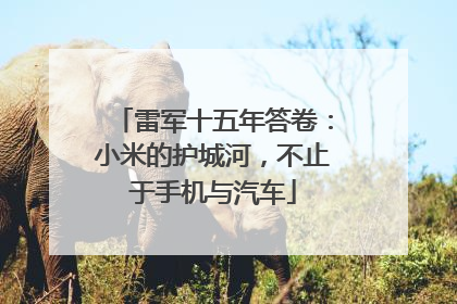 雷军十五年答卷：小米的护城河，不止于手机与汽车