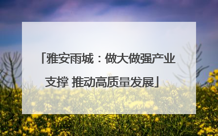 雅安雨城：做大做强产业支撑 推动高质量发展