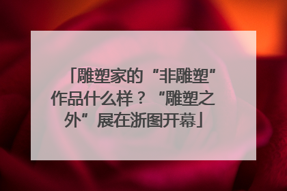雕塑家的“非雕塑”作品什么样？“雕塑之外”展在浙图开幕
