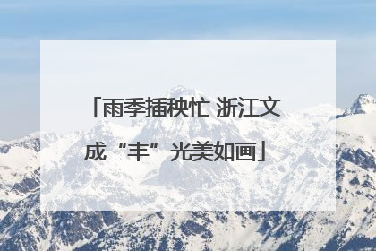 雨季插秧忙 浙江文成“丰”光美如画
