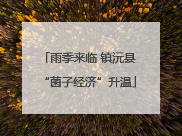 雨季来临 镇沅县“菌子经济”升温