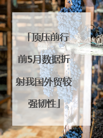 顶压前行 前5月数据折射我国外贸较强韧性