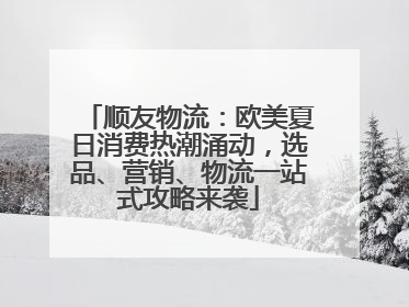 顺友物流：欧美夏日消费热潮涌动，选品、营销、物流一站式攻略来袭