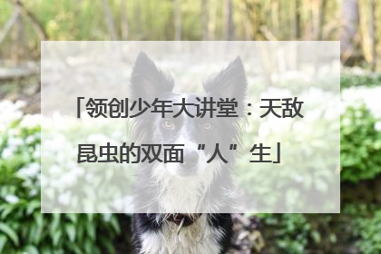 领创少年大讲堂：天敌昆虫的双面“人”生