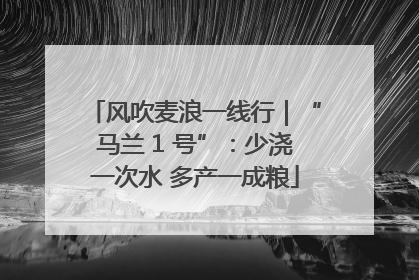 风吹麦浪一线行｜“马兰 1 号”：少浇一次水 多产一成粮
