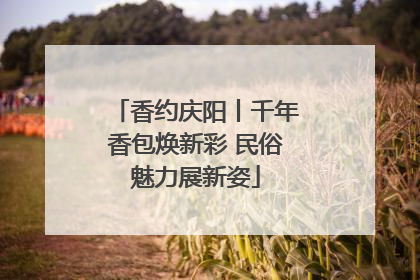 香约庆阳丨千年香包焕新彩 民俗魅力展新姿